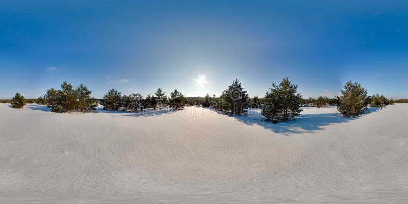 Paisaje increíble con cielos azules y árboles nevados en invierno panorama esférico 3d con ángulo de visión de 360 grados listo pa libre illustration