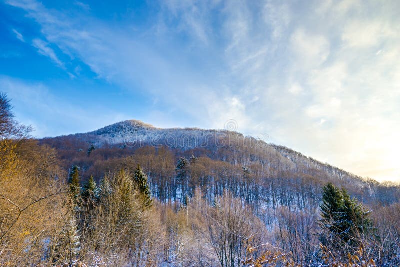 Paisaje invernal en las montañas. Paisaje en invierno en las montañas