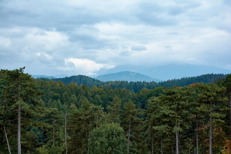 Paisaje montañoso con vistas al bosque de abetos y al cielo con nubes Paisaje de otoño en un día nublado fotografía de archivo Paisaje montañoso con vistas al bosque de abetos y al cielo con nubes Paisaje de otoño en un día nublado fotografía de archivo