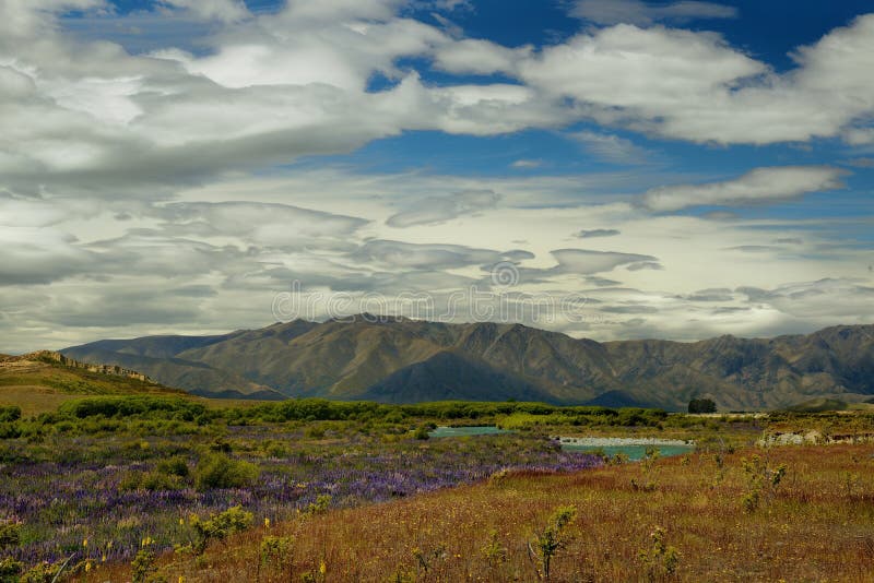 Paisaje Nueva Zelanda - isla del sur - ajardine cerca de las montañas meridionales, cielo azul con las nubes imagen de archivo Paisaje Nueva Zelanda - isla del sur - ajardine cerca de las montañas meridionales, cielo azul con las nubes imagen de archivo