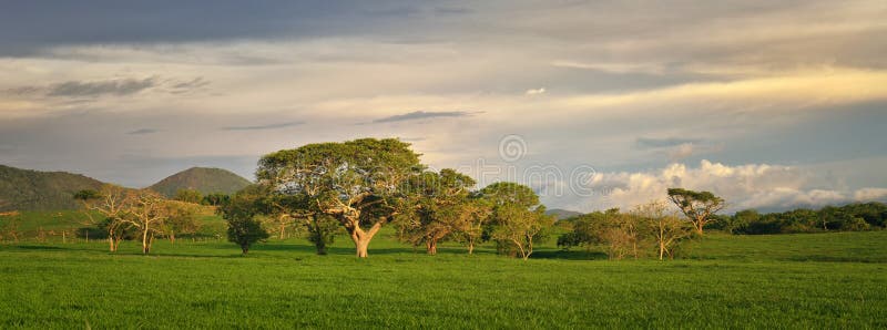 Paisaje panorámico con los árboles y las montañas en México imagenes de archivo Paisaje panorámico con los árboles y las montañas en México imagenes de archivo
