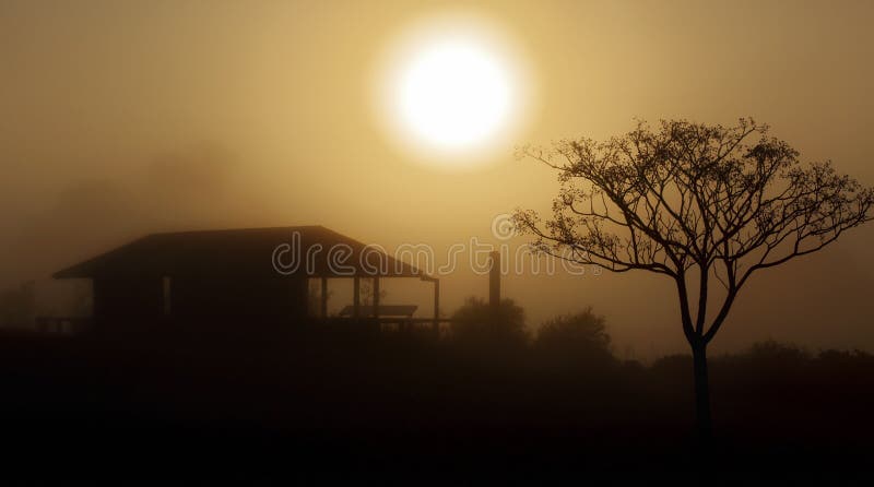 Paisaje rural de la salida del sol de niebla de la mañana foto de archivo libre de regalías Paisaje rural de la salida del sol de niebla de la mañana foto de archivo libre de regalías