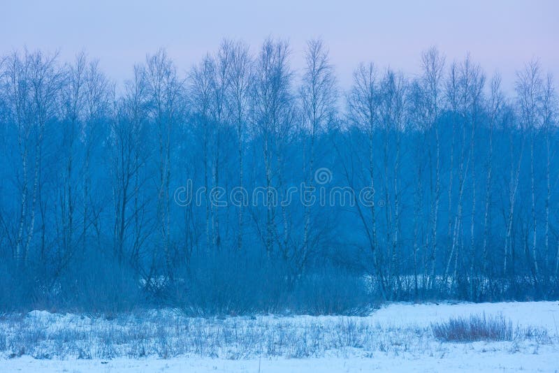 Paisaje rural del invierno típico polaco imágenes de archivo libres de regalías Paisaje rural del invierno típico polaco imágenes de archivo libres de regalías