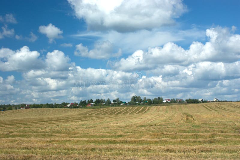 Paisaje rural del verano con el campo segado una aldea foto de archivo Paisaje rural del verano con el campo segado una aldea foto de archivo