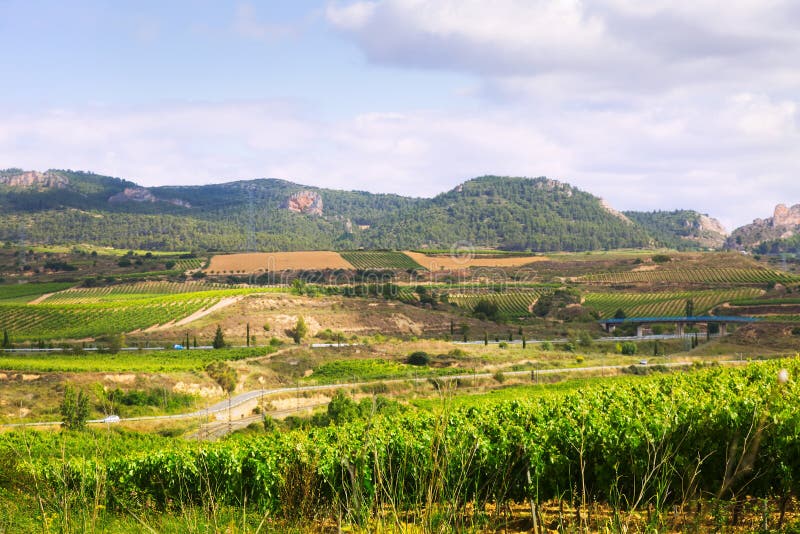 Download Paisaje rural en La Rioja foto de archivo. Imagen de plantación - 42433626
