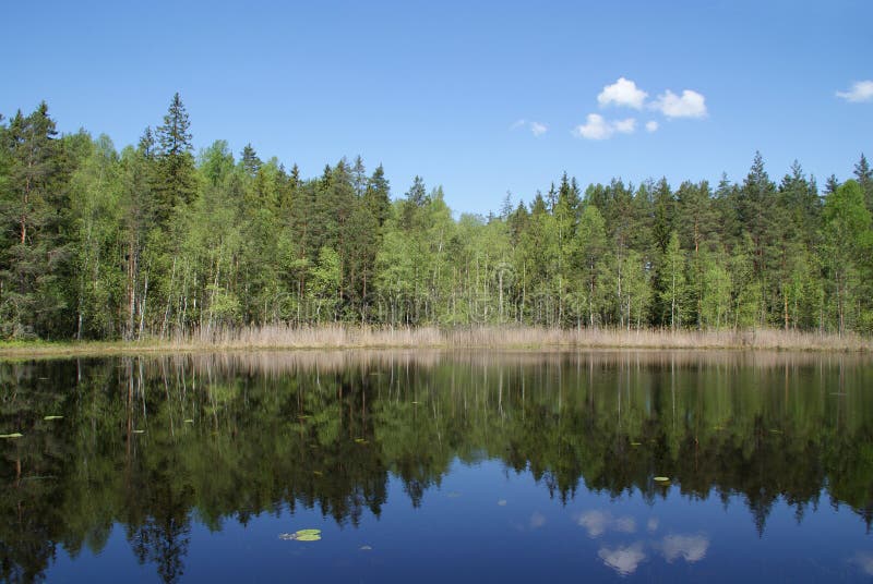 Paisaje sereno del lago en Finlandia