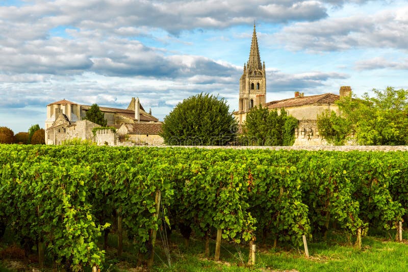 Paisaje soleado de los viñedos de Burdeos en Saint Emilion en la región de Aquitania, Francia imagenes de archivo