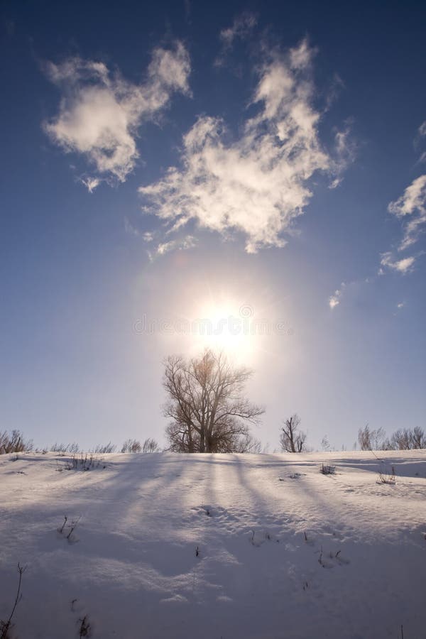 Paisaje soleado del invierno imágenes de archivo libres de regalías Paisaje soleado del invierno imágenes de archivo libres de regalías