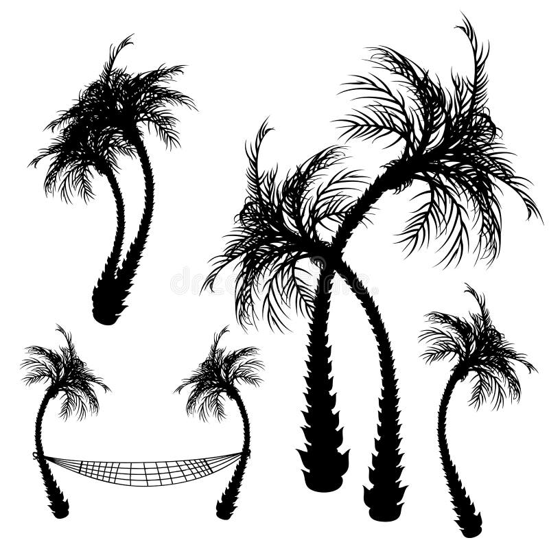 Paisaje tropical libre illustration Paisaje tropical libre illustration