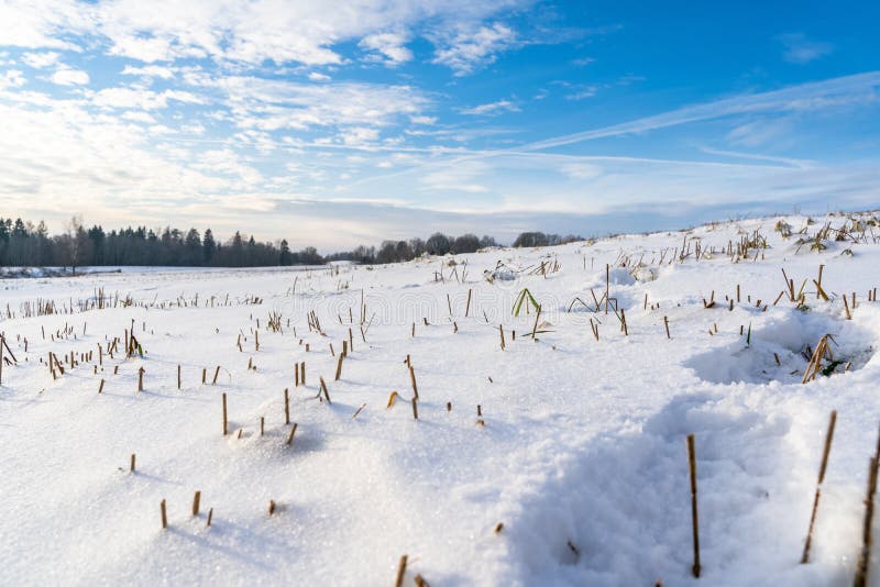 Paisaje vacío del campo en Sunny Winter Day con la nieve que cubre el fondo de tierra, abstracto con mirada profunda imagen de archivo libre de regalías Paisaje vacío del campo en Sunny Winter Day con la nieve que cubre el fondo de tierra, abstracto con mirada profunda imagen de archivo libre de regalías