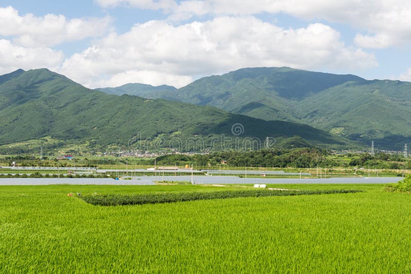 Paisaje verde en Corea del Sur fotografía de archivo libre de regalías Paisaje verde en Corea del Sur fotografía de archivo libre de regalías