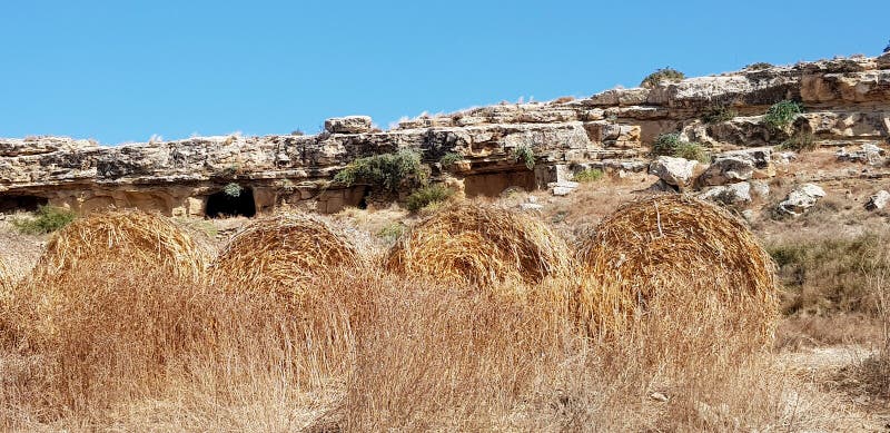 Paja de cebada y heno bales en los campos de Chipre fotografía de archivo Paja de cebada y heno bales en los campos de Chipre fotografía de archivo