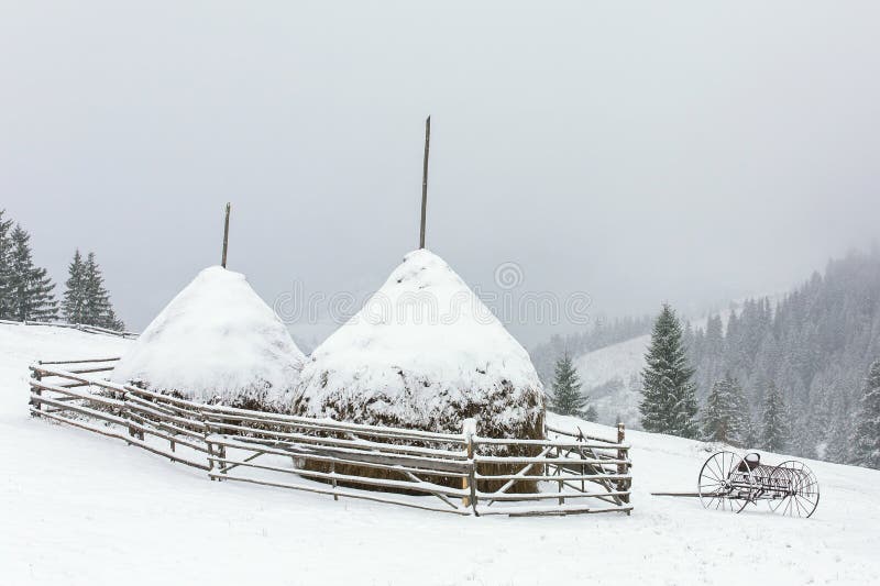 Pajares del invierno en las montañas de Carphatian fotos de archivo Pajares del invierno en las montañas de Carphatian fotos de archivo
