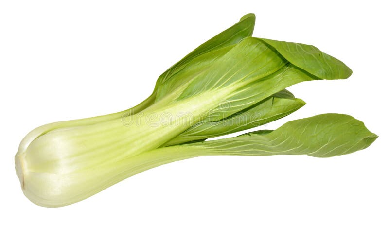 Pak Choi Chinese Cabbage