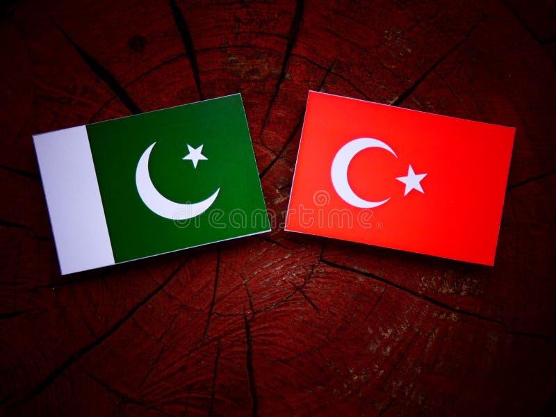 Pakistan Flag with Japanese Flag on a Tree Stump Isolated Stock Photo