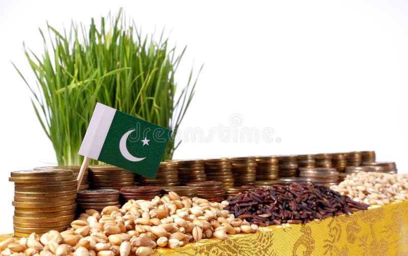 Pakistan flag waving with stack of money coins and piles of wheat