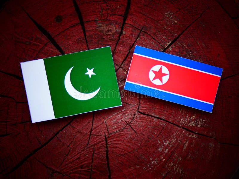 Pakistan flagga med den nordkoreanska flaggan på en trädstubbe royaltyfria foton Pakistan flagga med den nordkoreanska flaggan på en trädstubbe royaltyfria foton