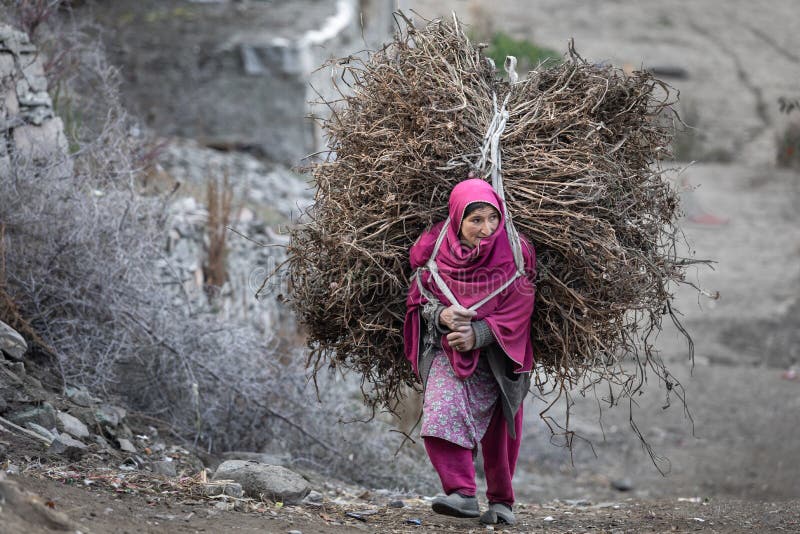 Pakistani Woman in Traditional Clothes Carry Firewood Editorial Image ...