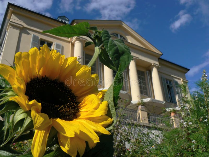 Palace of Freudenberg, Hesse, Germany. Pillar column garden stock images, royalty-free photos and pictures