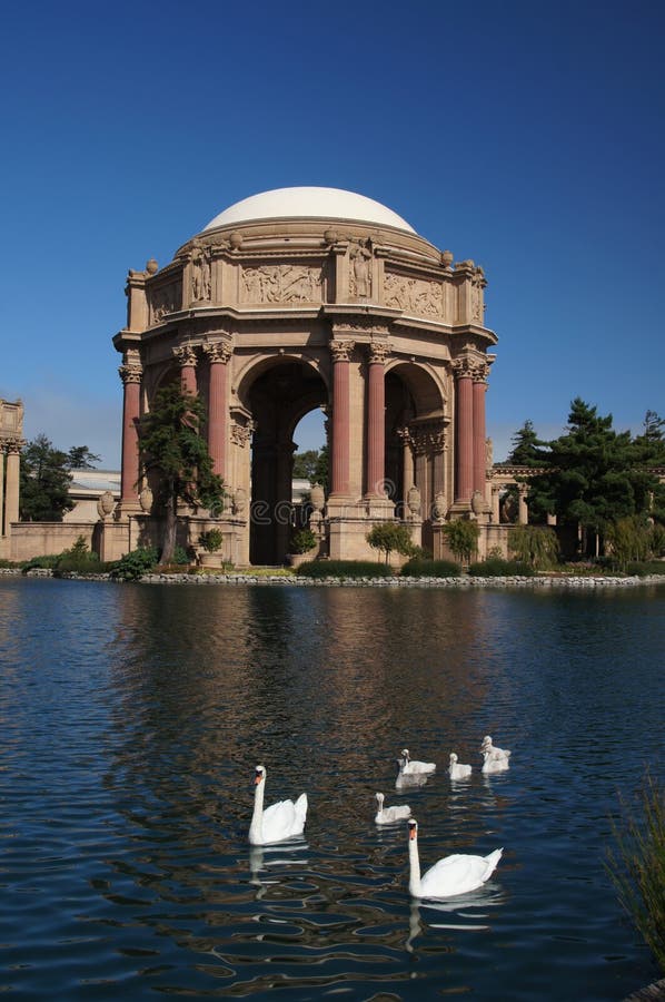 Palace of Fine Arts in San Fransisco, California, with a family of Swan's swiming in front of the Palace. Built in 1915 for the Panama-Pacific Exposition. Palace of Fine Arts in San Fransisco, California, with a family of Swan's swiming in front of the Palace. Built in 1915 for the Panama-Pacific Exposition
