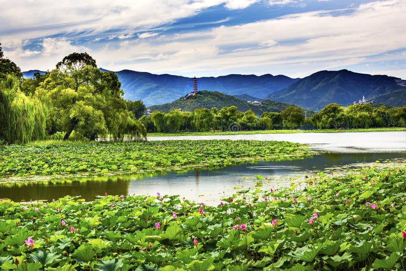 Palais Pékin Chine de Yue Feng Pagoda Lotus Garden Summer photo stock Palais Pékin Chine de Yue Feng Pagoda Lotus Garden Summer photo stock