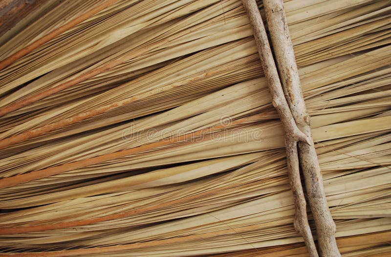 Palapa texture