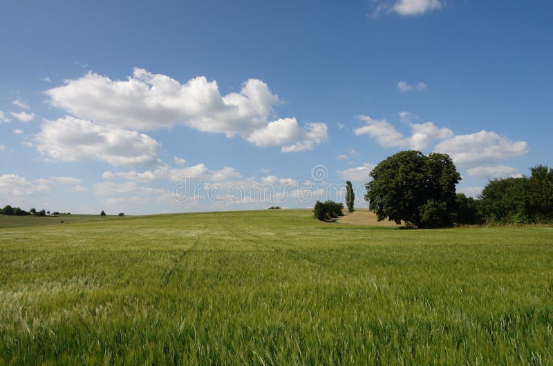Palatine Summer stock photo. Image of meadows, german, clouds 968246