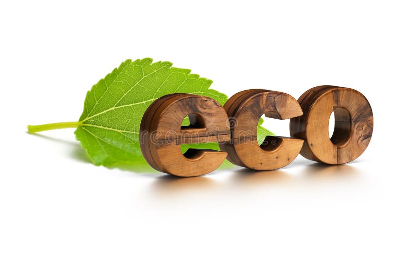 Palavra ecológica e folha verde ilustração royalty free