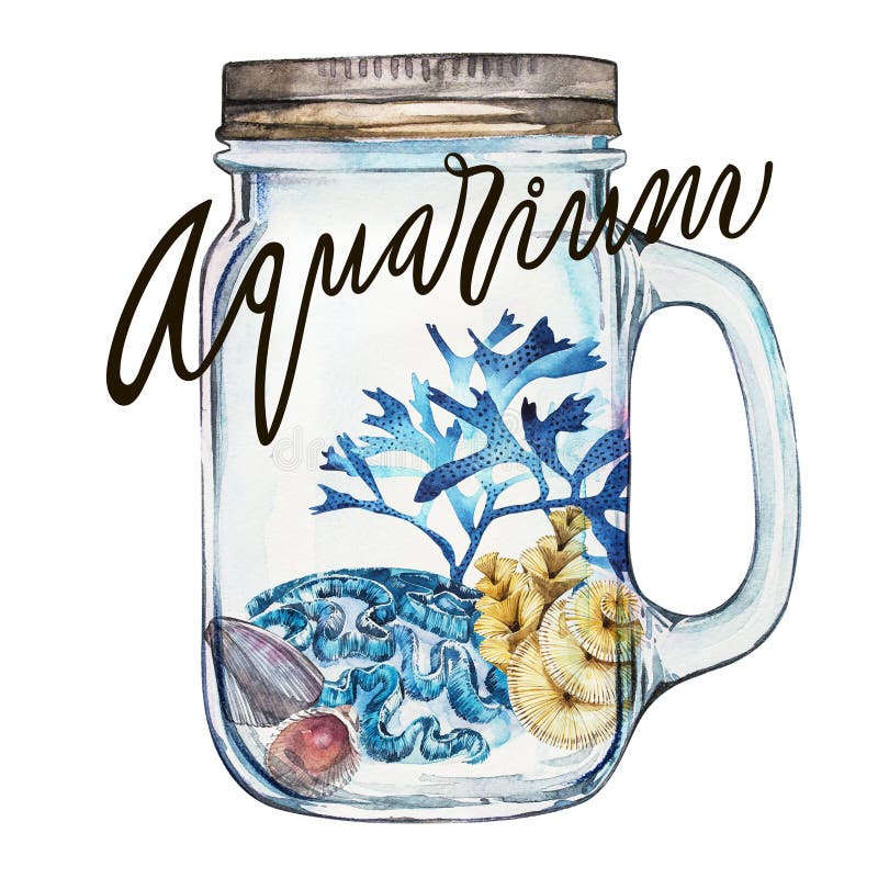 Palavra-aquário A vida marinha e os corais da alga das composições objetam isolado no fundo branco Mão da aquarela tirada ilustração stock Palavra-aquário A vida marinha e os corais da alga das composições objetam isolado no fundo branco Mão da aquarela tirada ilustração stock