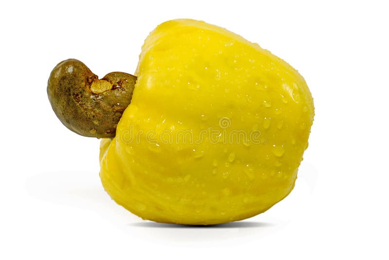 caju fruit caju fruit