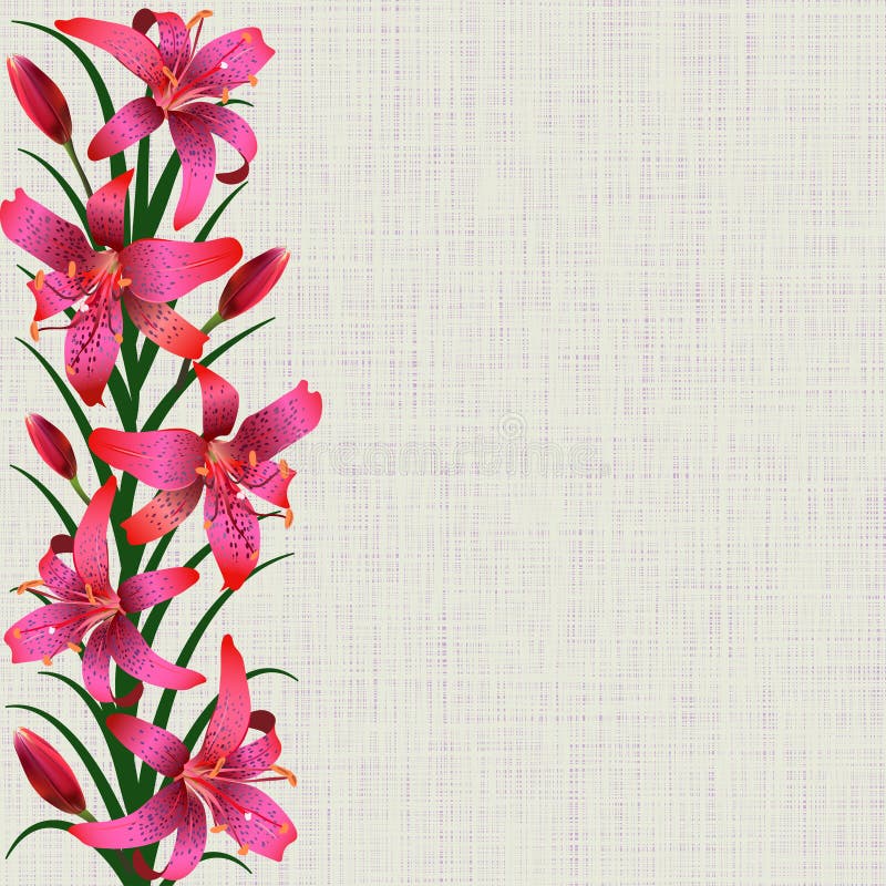 Pale background with red tiger lily flowers, leaves and buds