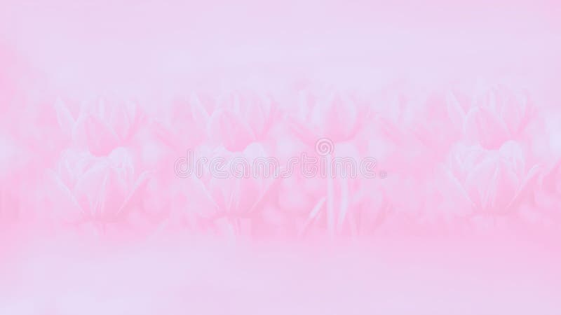 Một hình nền trừu tượng với nước sơn màu hồng nhạt dạng gradient và tượng tuyết sẽ khiến bạn thấy như đang đứng trong một tuyệt tác của nghệ thuật. Sắc màu dịu nhẹ và những đường nét mềm mại sẽ khiến bạn cảm thấy thư thái và bình yên. Hãy ngắm nhìn bức ảnh này để tận hưởng những khoảnh khắc tĩnh lặng.