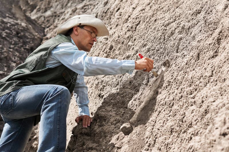 Paleontologist job availability