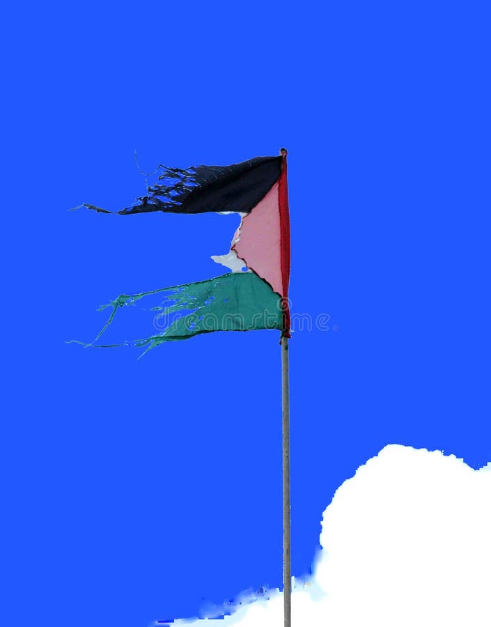 Palestijnse Vlag stock fotografie Palestijnse Vlag stock fotografie