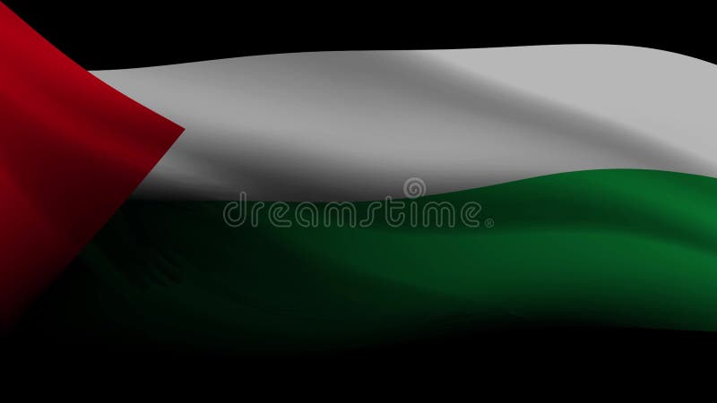 Palästina-Flagge stock footage. Video von animation, nation - 42559686
