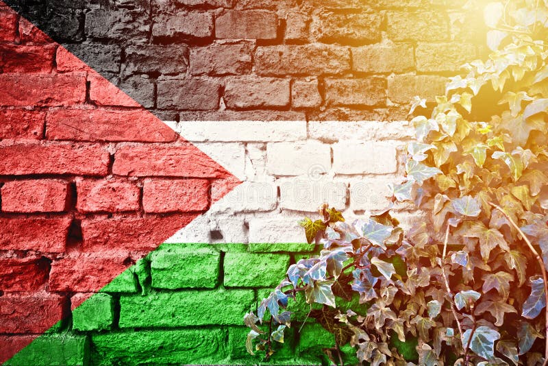 Save palestine free palestine flag wallpaper Vector Image