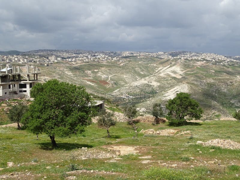 Palestinska territoriernalandskap i en bred panorama royaltyfri foto Palestinska territoriernalandskap i en bred panorama royaltyfri foto
