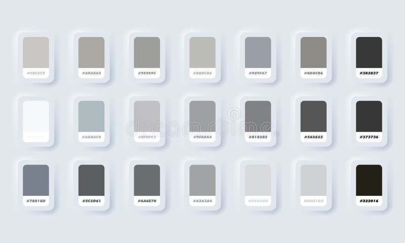 Palette De Couleurs Gris Pastel. Vecteur. Exemples De Catalogue Gris En