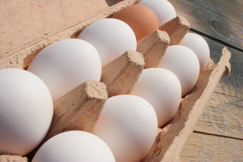 Palette of eggs