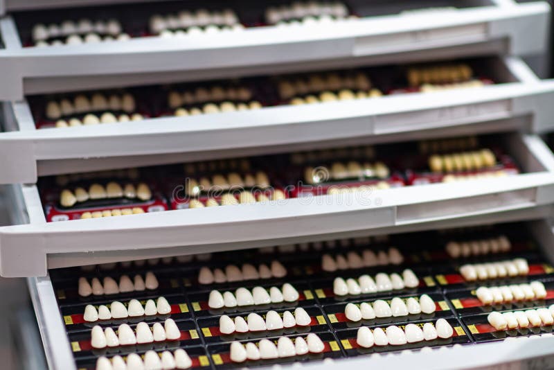 Palette with Natural Tooth Shades Stock Image Image of color, natural