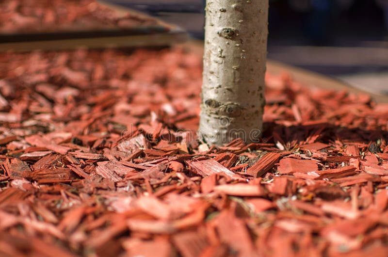 Red mulch used for garden decorating. Red mulch used for garden decorating