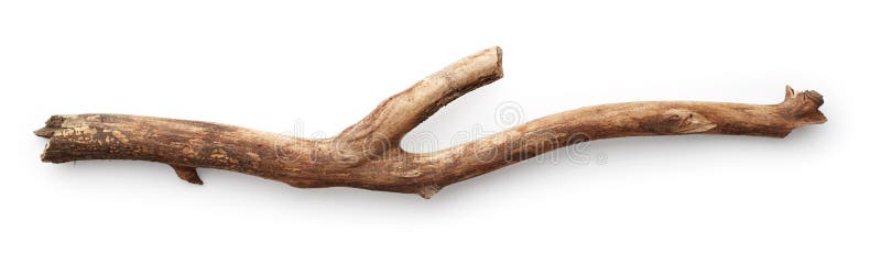 Stick isolated on white background. Stick isolated on white background