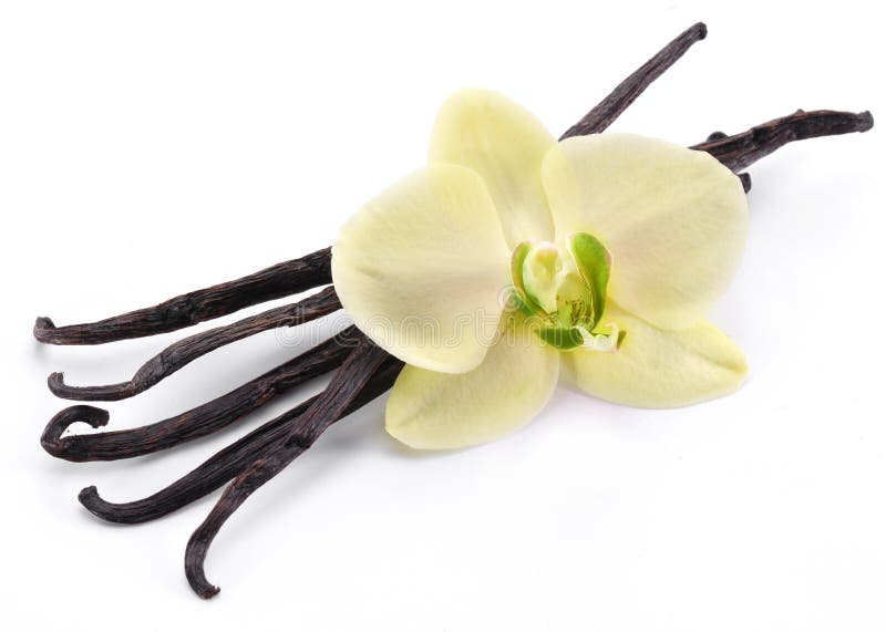 Palillos de la vainilla con una flor. imagen de archivo Palillos de la vainilla con una flor. imagen de archivo