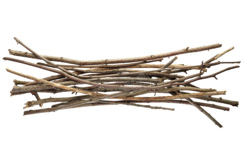 Sticks and twigs isolated on white background, clipping path included. Sticks and twigs isolated on white background, clipping path included