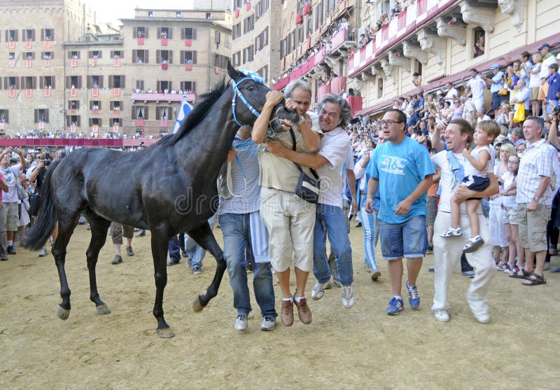 Palio de Siena 2012 imagens de stock Palio de Siena 2012 imagens de stock