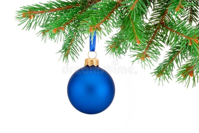 Palla blu di Natale che appende sul ramo di albero dell'abete isolato