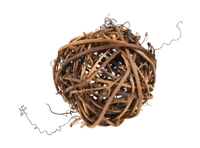 Palla di rattano marrone secco con tendini torti isolati immagine stock