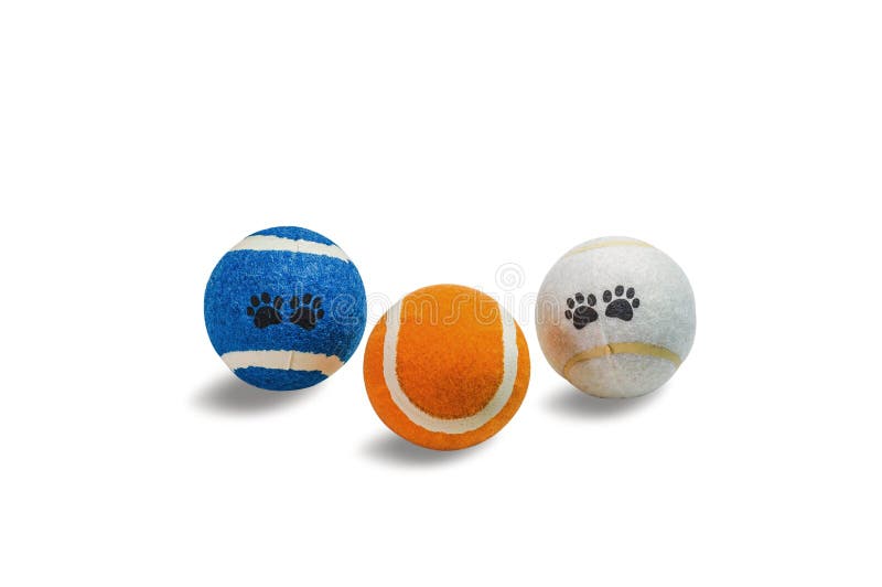 Palla per i cani su un fondo bianco immagine stock libera da diritti