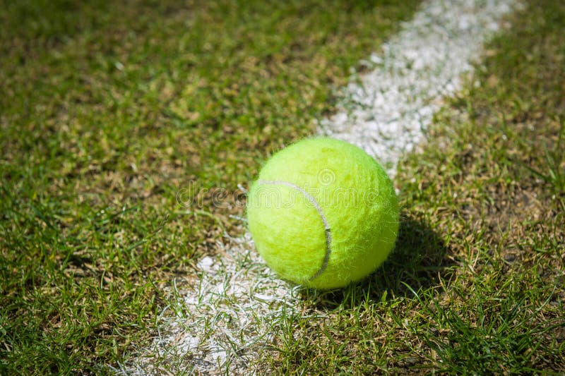 Pallina da tennis su un campo da tennis sull'erba immagine stock Pallina da tennis su un campo da tennis sull'erba immagine stock