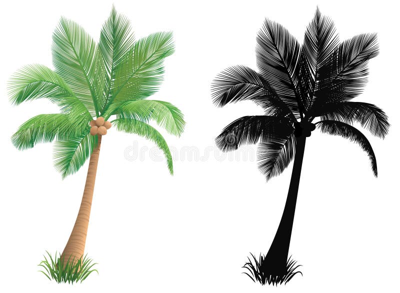 Palm. stock illustratie